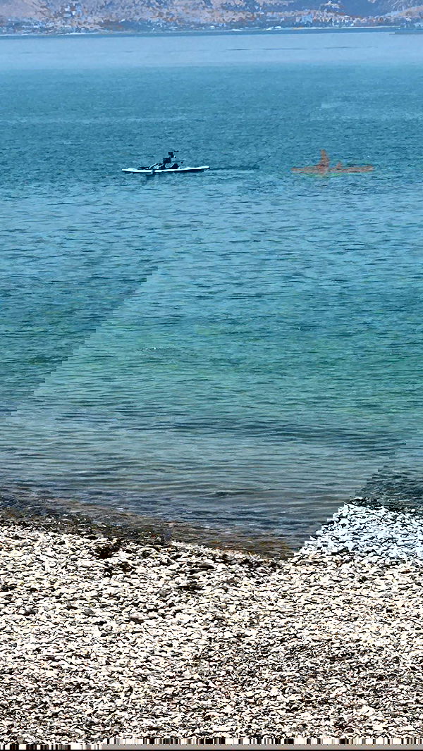 laluzone laluzone archive image