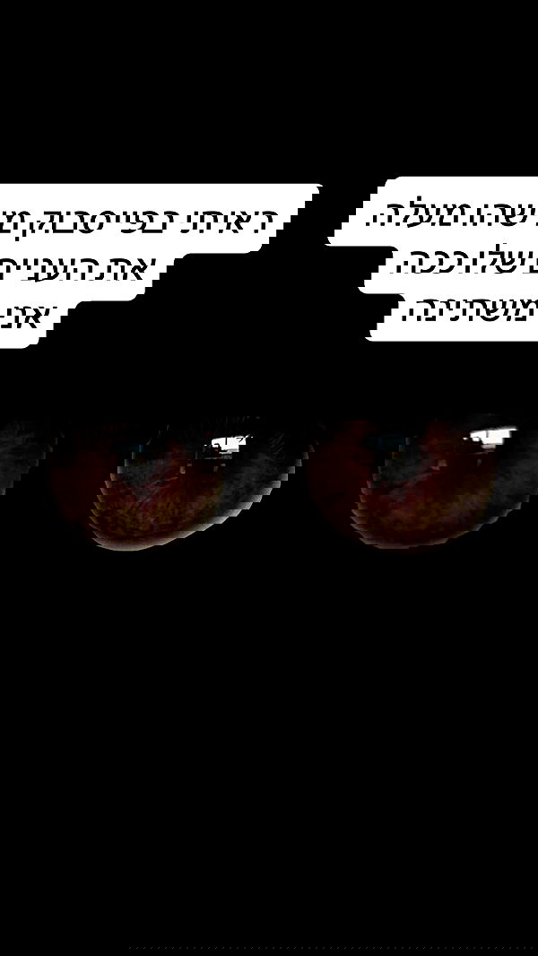 laluzone laluzone archive image