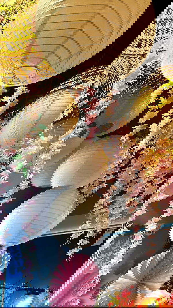 laluzone laluzone archive image