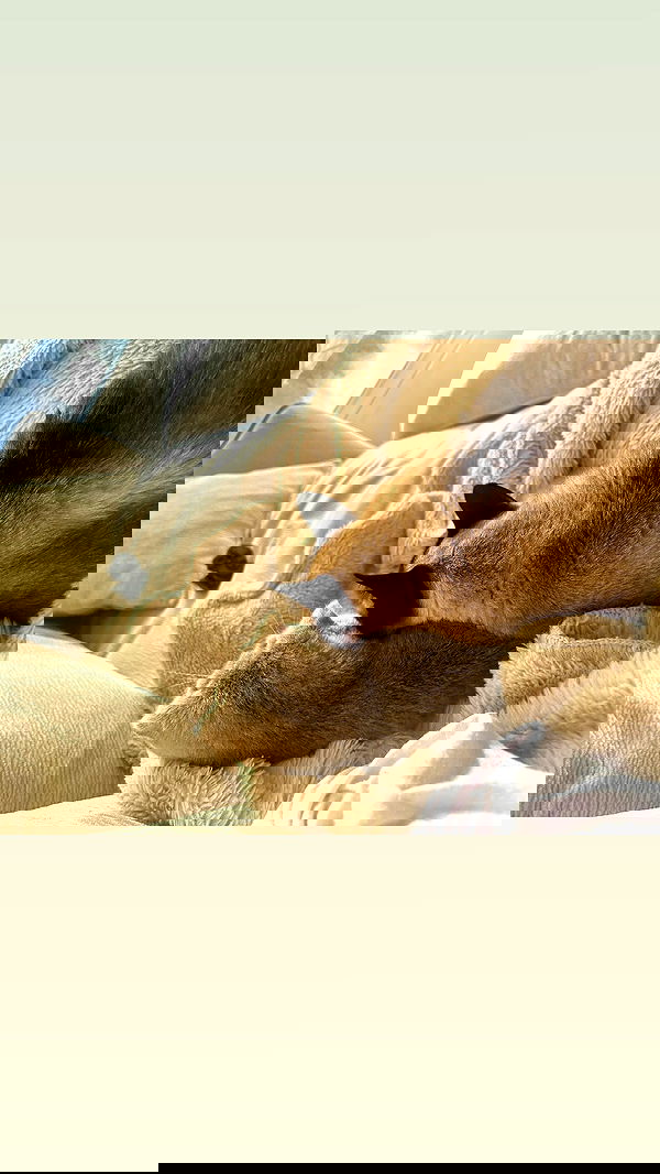 laluzone laluzone archive image