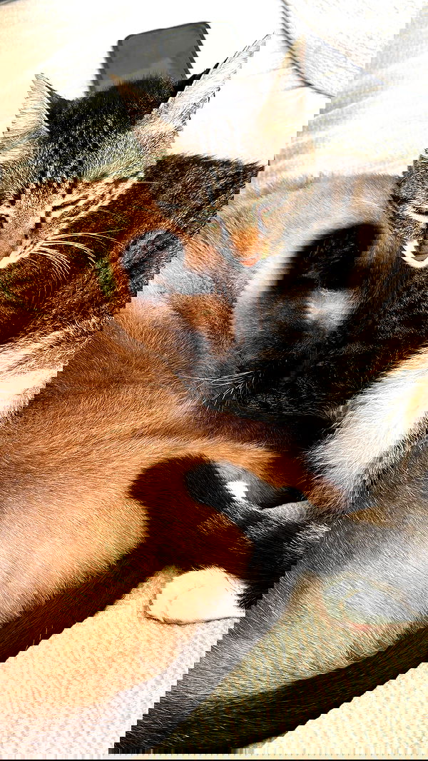 laluzone laluzone archive image