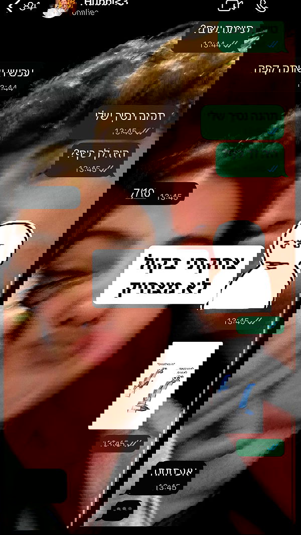 laluzone laluzone archive image