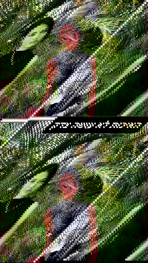 laluzone laluzone archive image