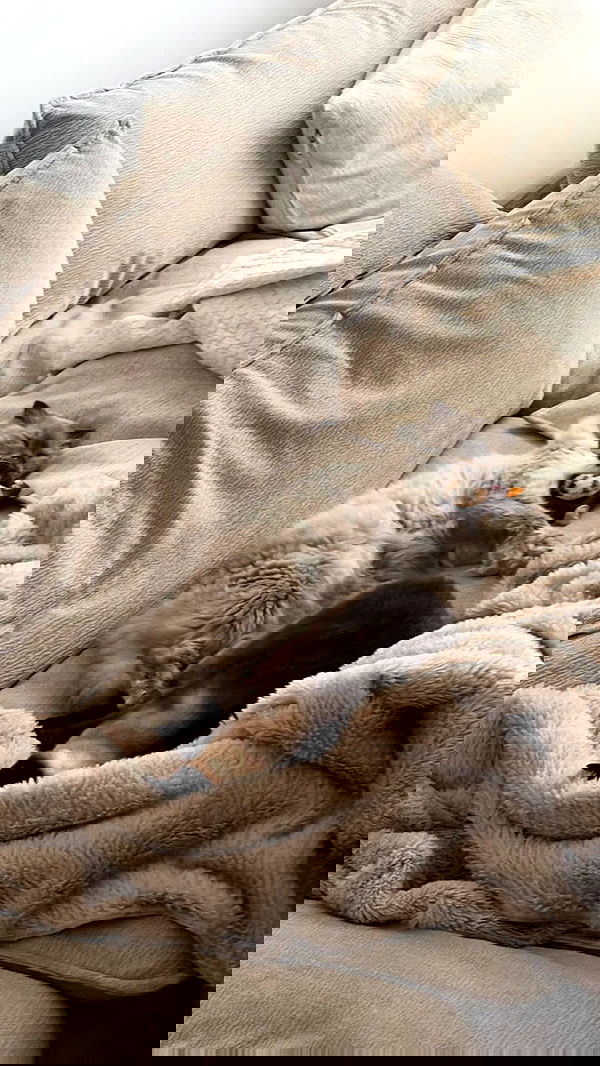 laluzone laluzone archive image