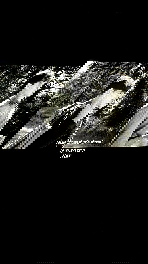 laluzone laluzone archive image