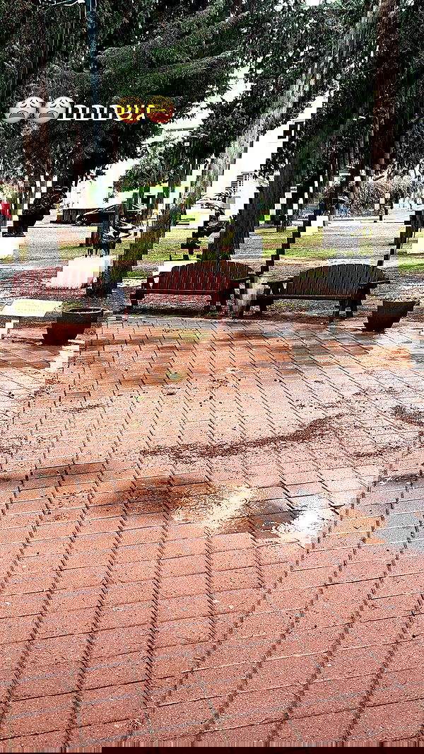 laluzone laluzone archive image