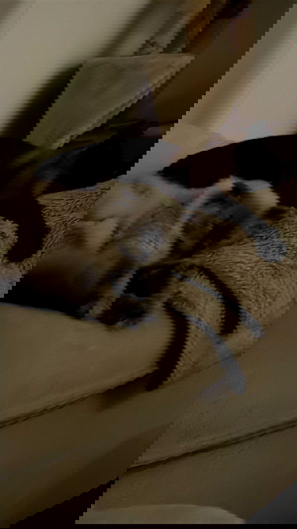 laluzone laluzone archive image