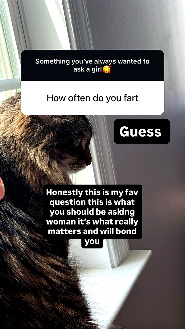 lamegfff instagram image archive image