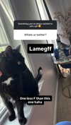 lamegfff Altpins Profile Picture