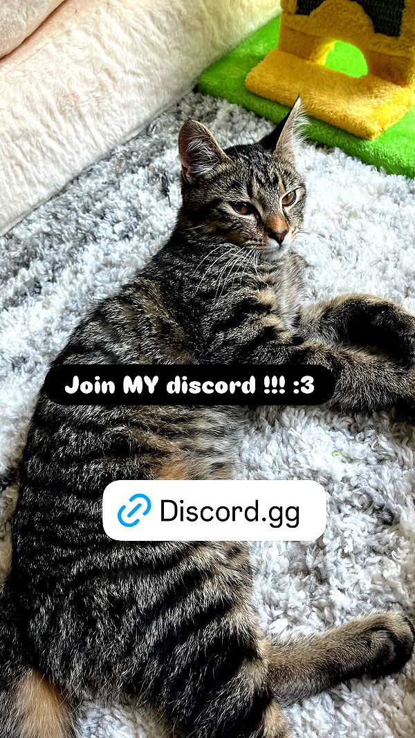 lamegfff instagram image archive image