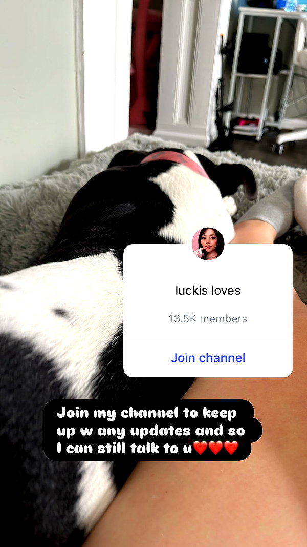 lamegfff instagram image archive image