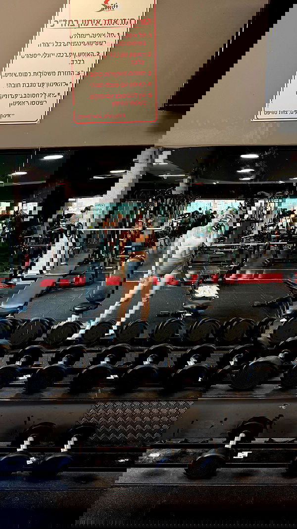 laniskot image ~ Altpins