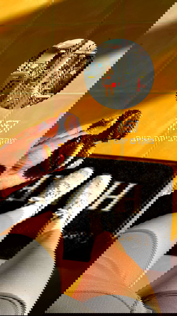 laniskot image ~ Altpins