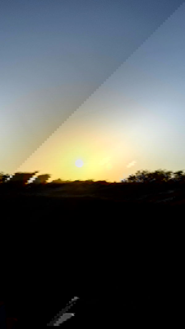 laniskot image ~ Altpins