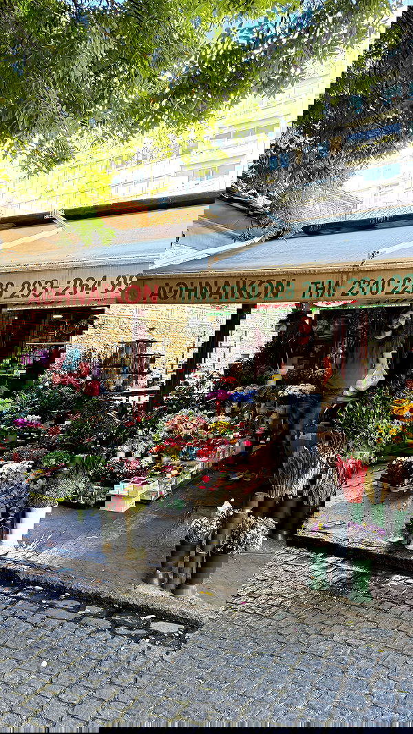 laniskot image ~ Altpins