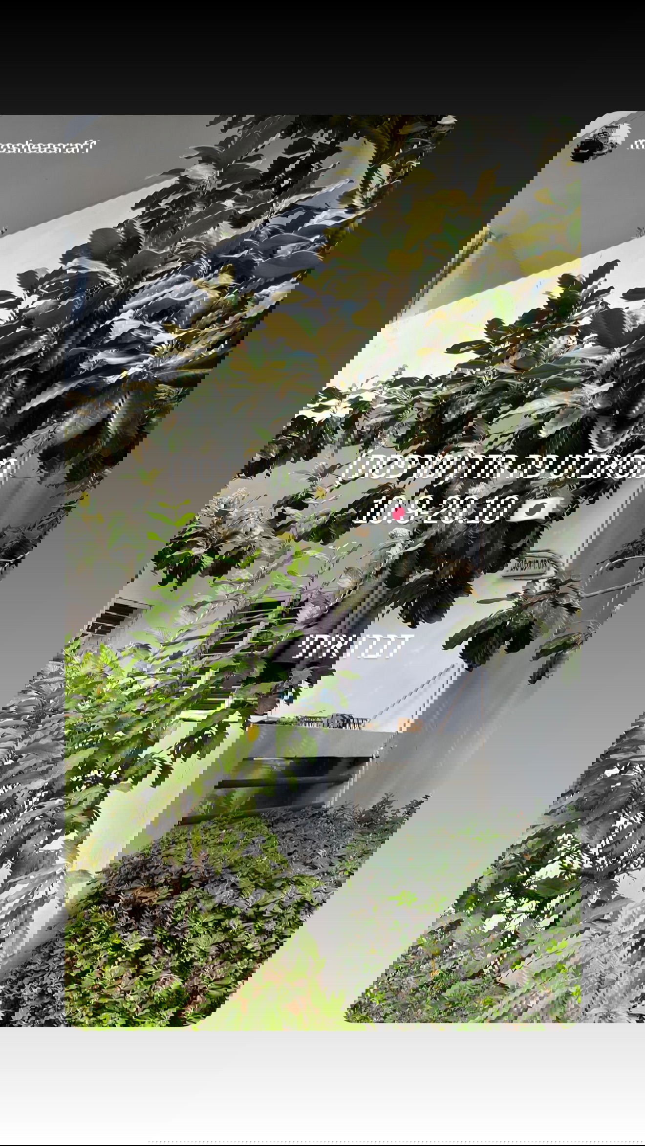 laniskot instagram image archive image