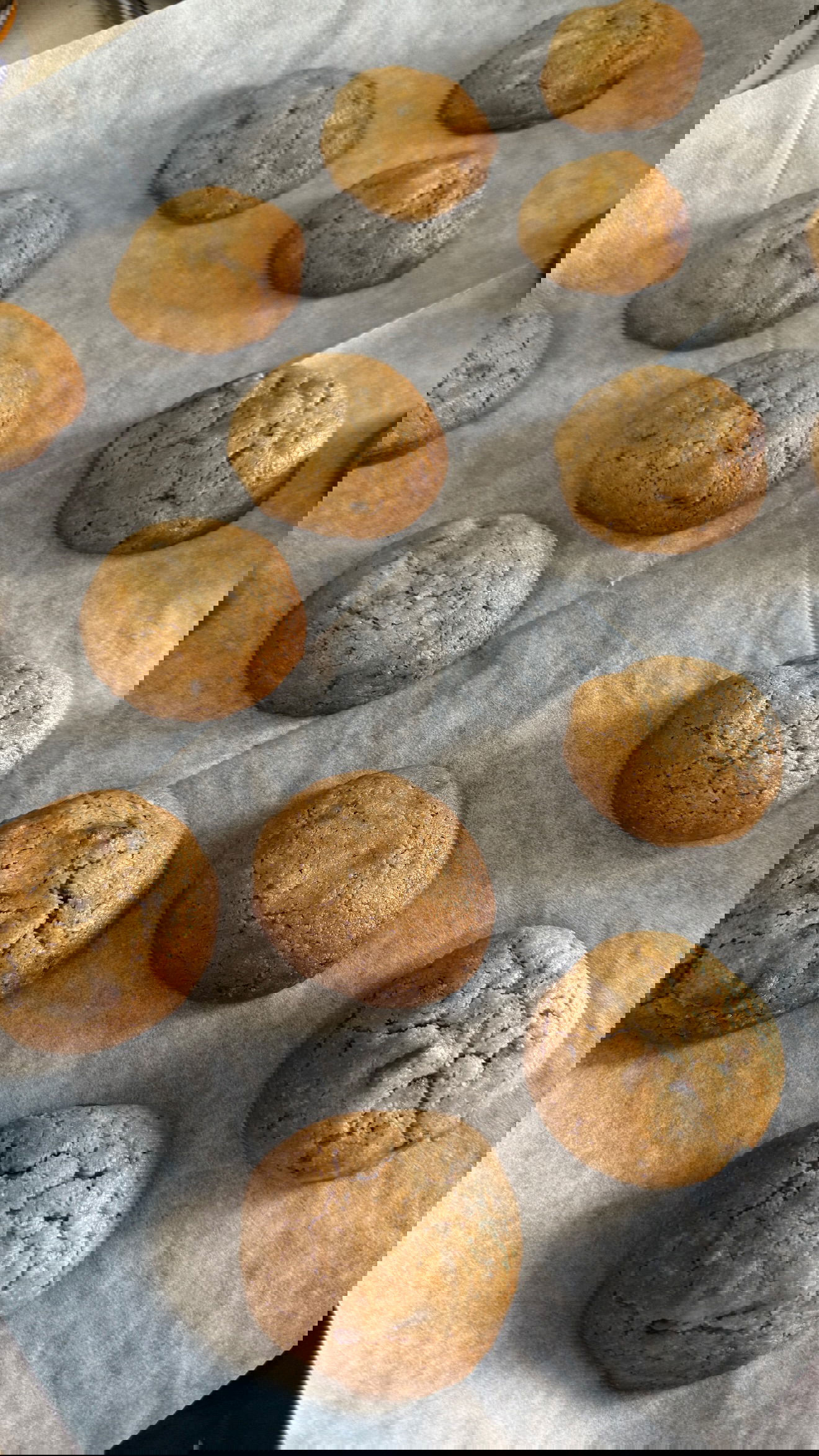 laniskot instagram image archive image