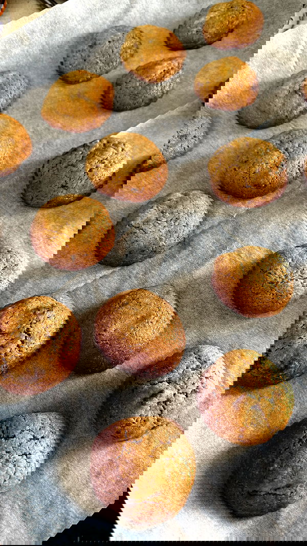 laniskot image ~ Altpins