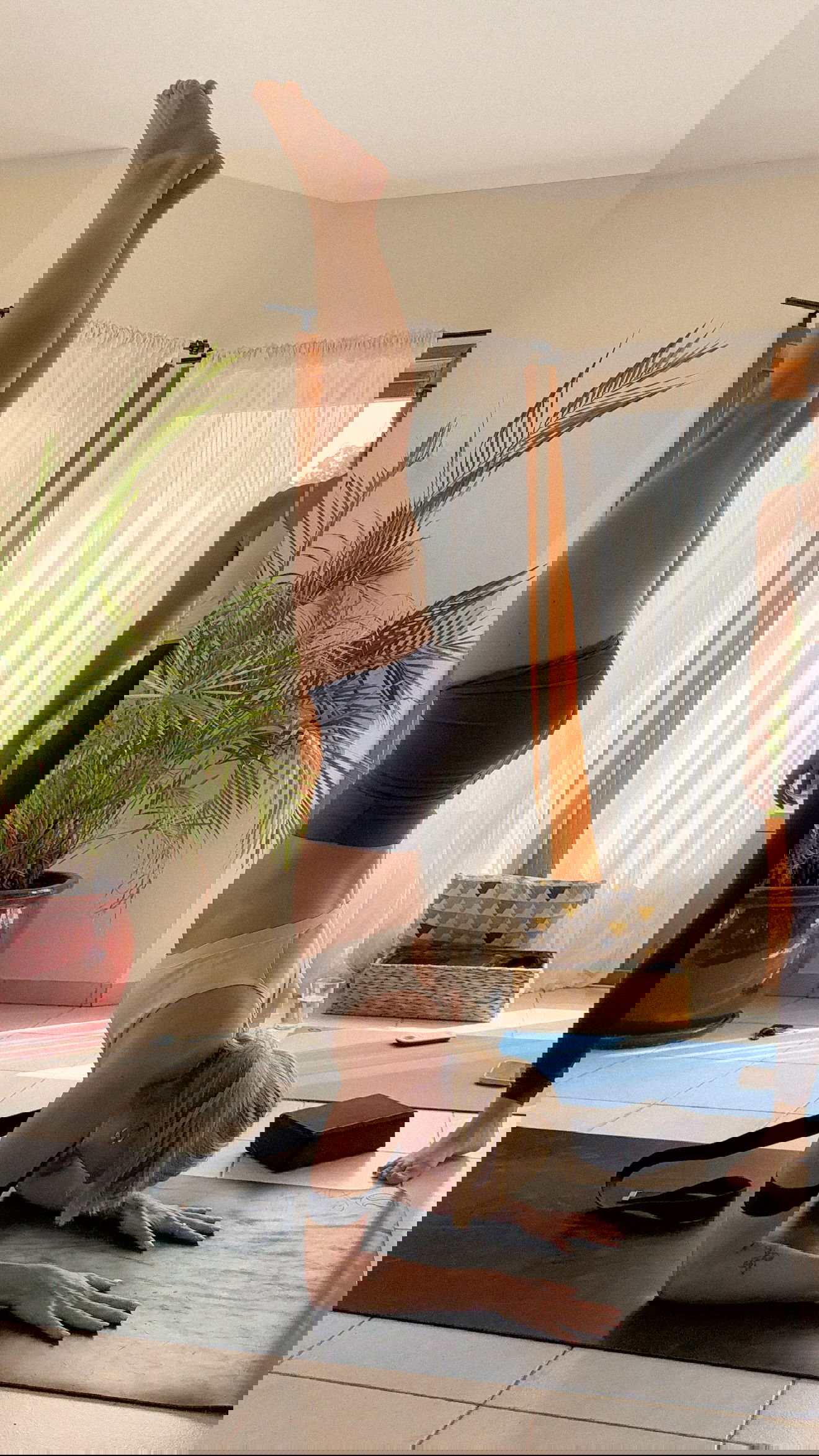 laniskot instagram image archive image