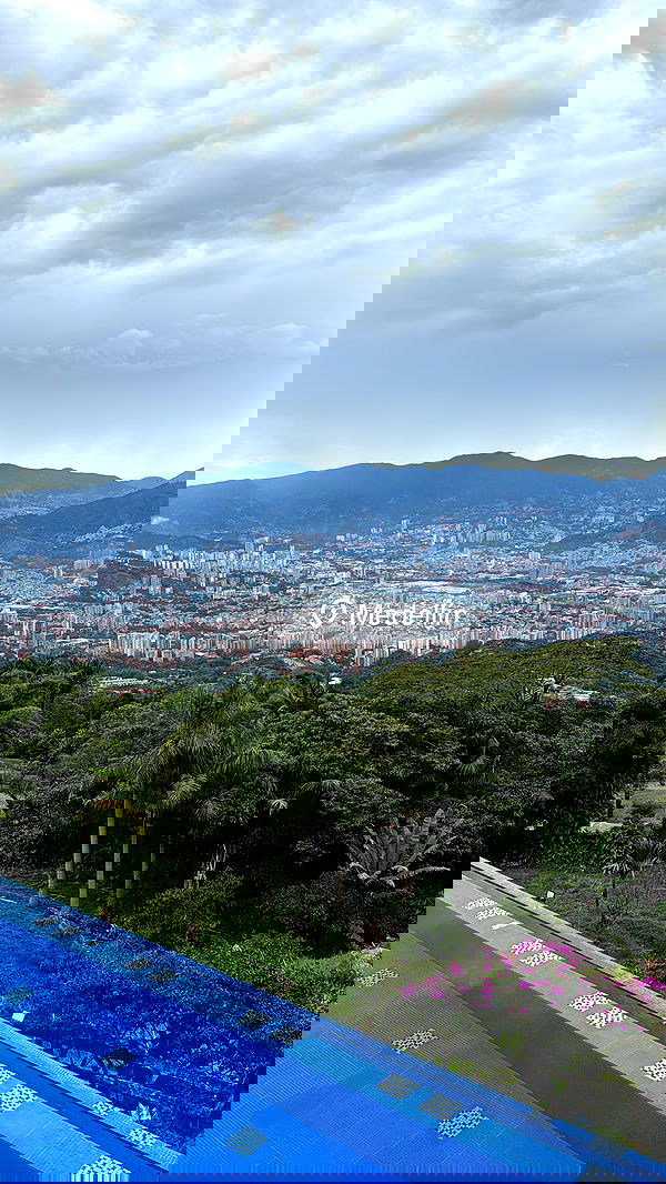 lapatronaz lapatronaz archive image