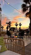 larin_manor10 Altpins Profile Picture