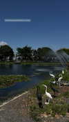 larin_manor10 Altpins Profile Picture