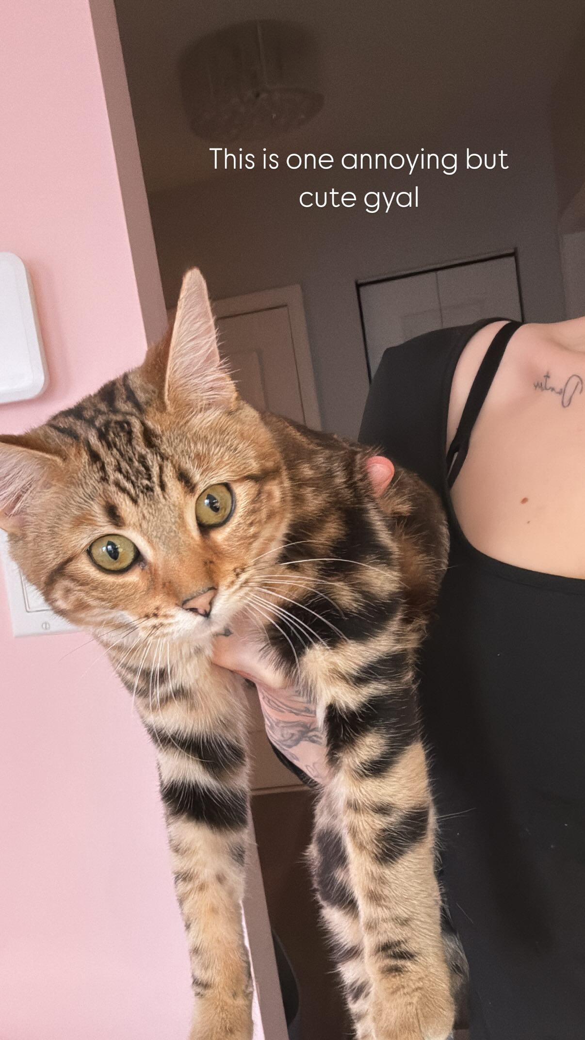 laurinchhhe instagram image archive image