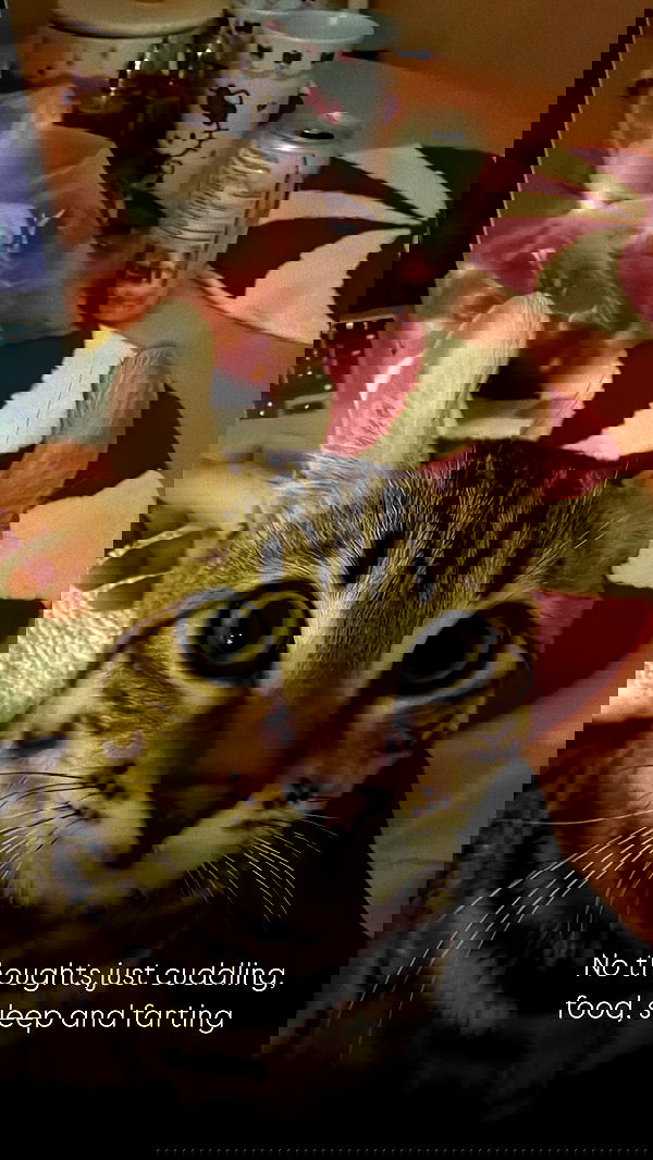 laurinchhhe image ~ Altpins