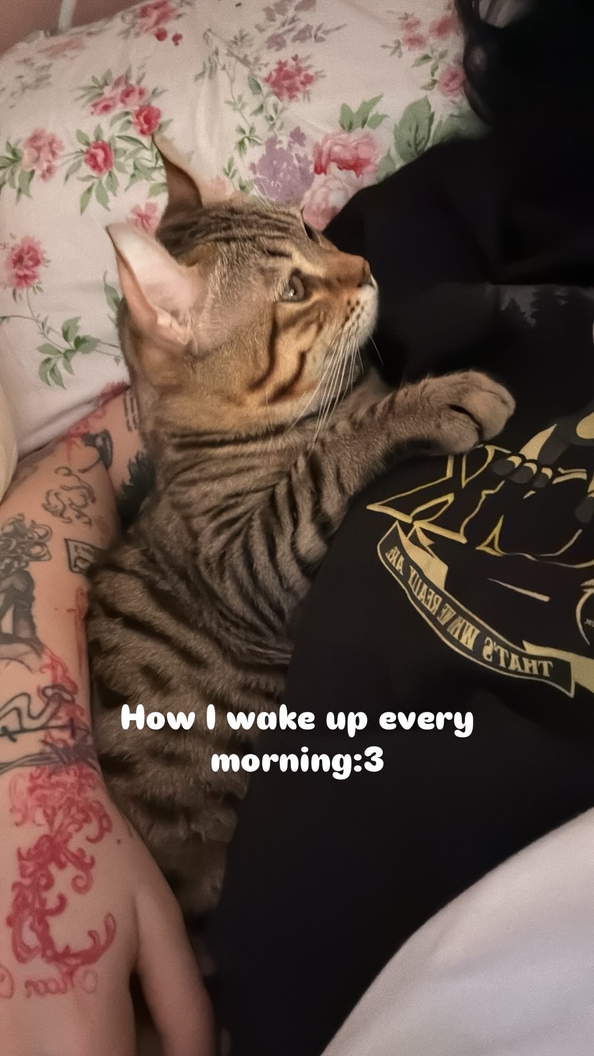 laurinchhhe instagram image archive image