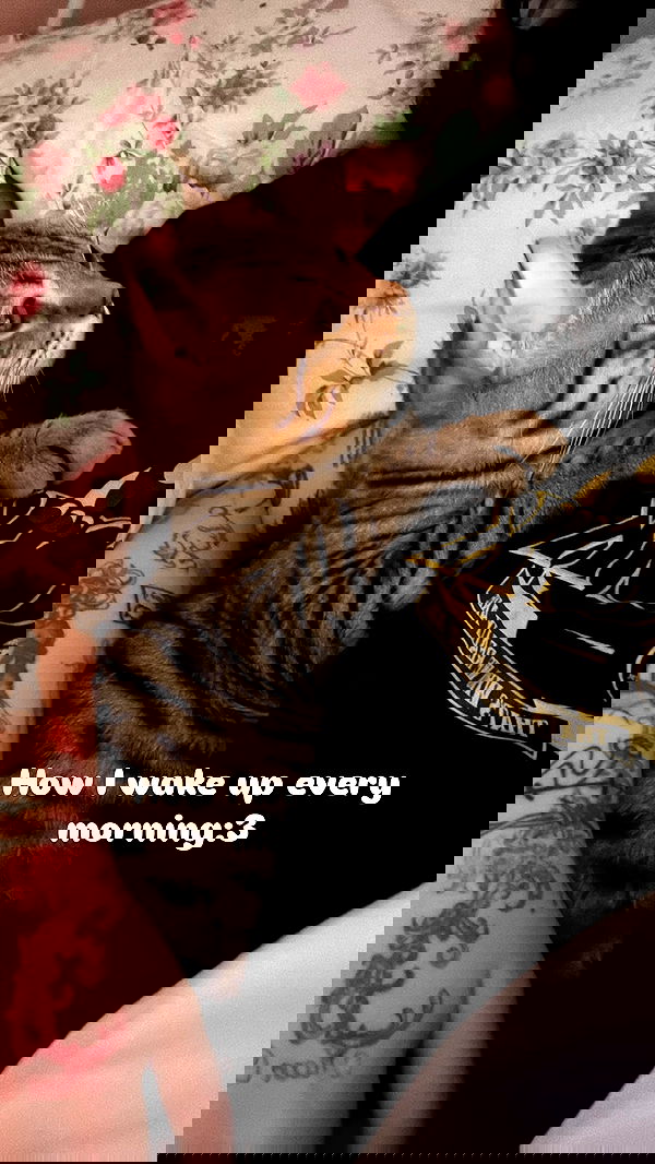 laurinchhhe image ~ Altpins