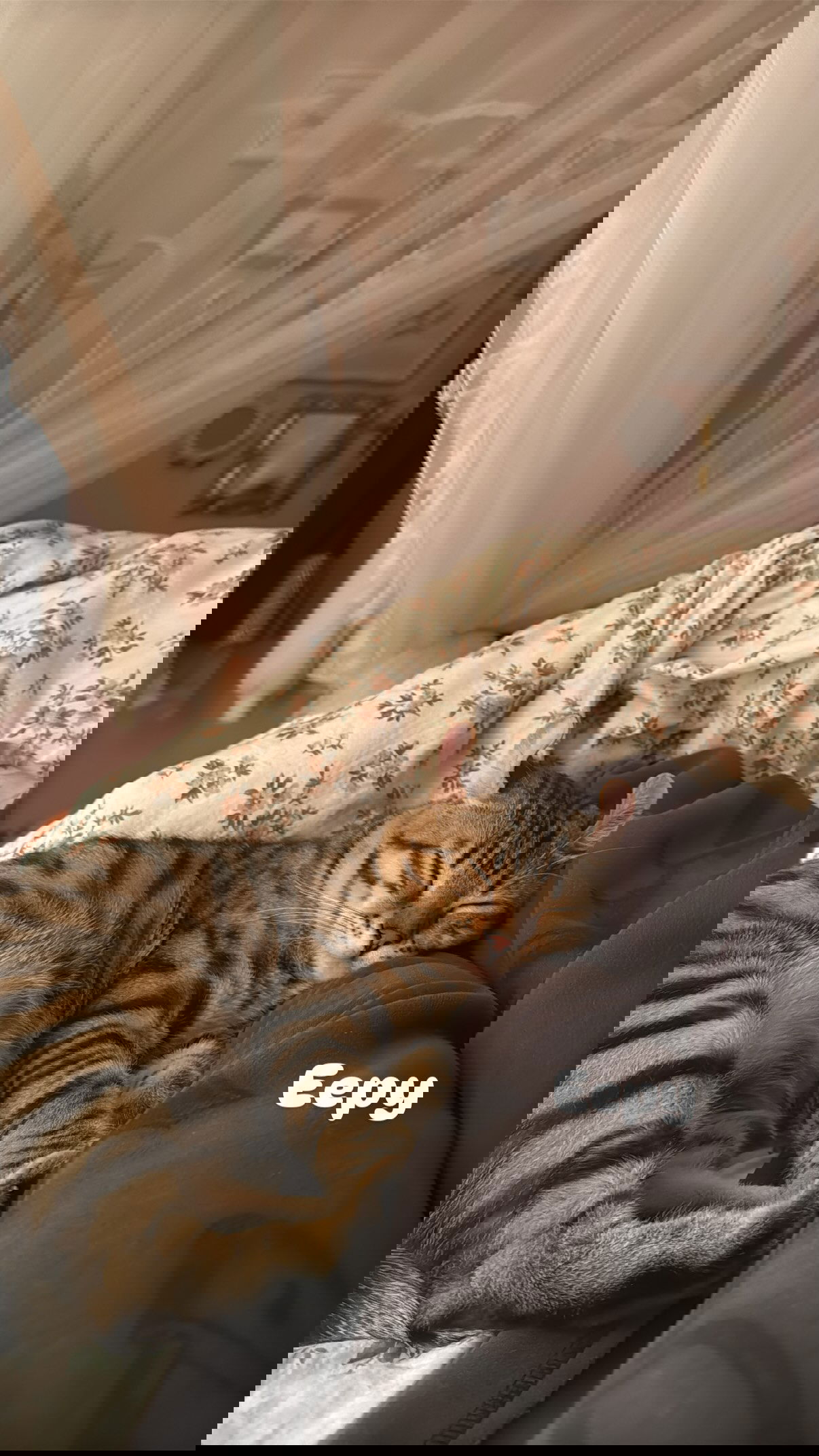 laurinchhhe instagram image archive image