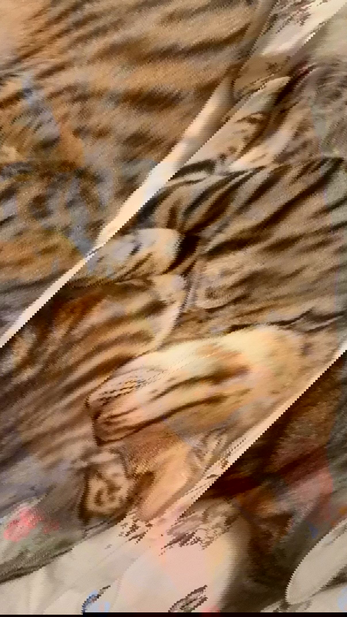 laurinchhhe instagram image archive image