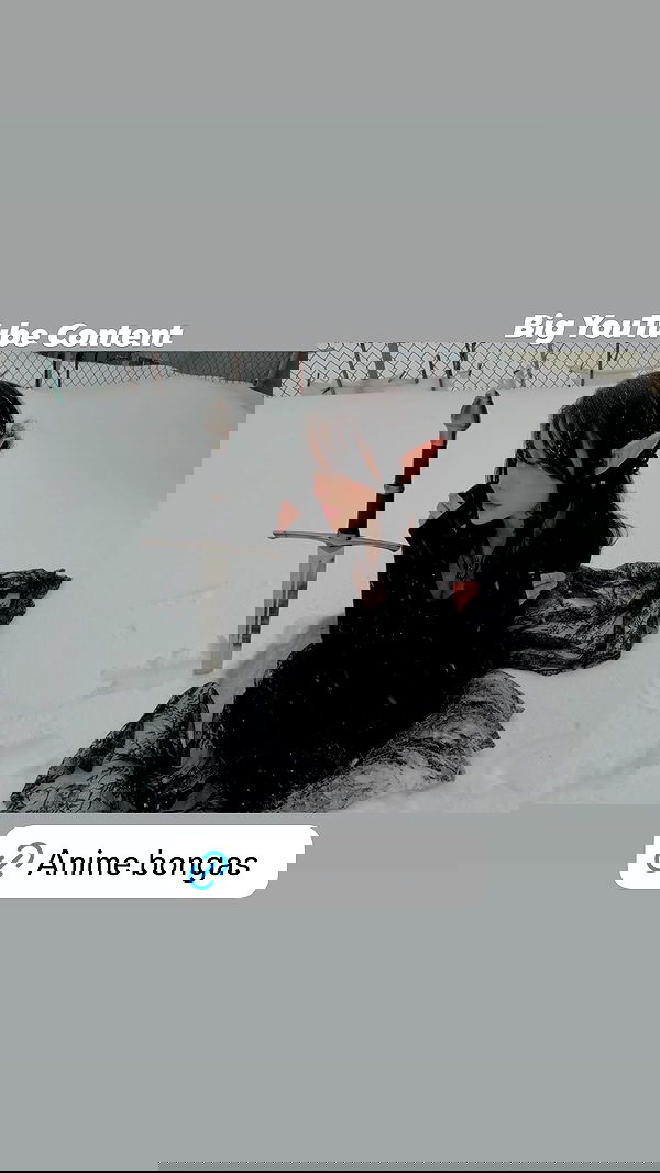 laurinchhhe image ~ Altpins