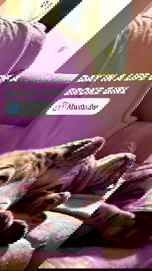 laurinchhhe image ~ Altpins