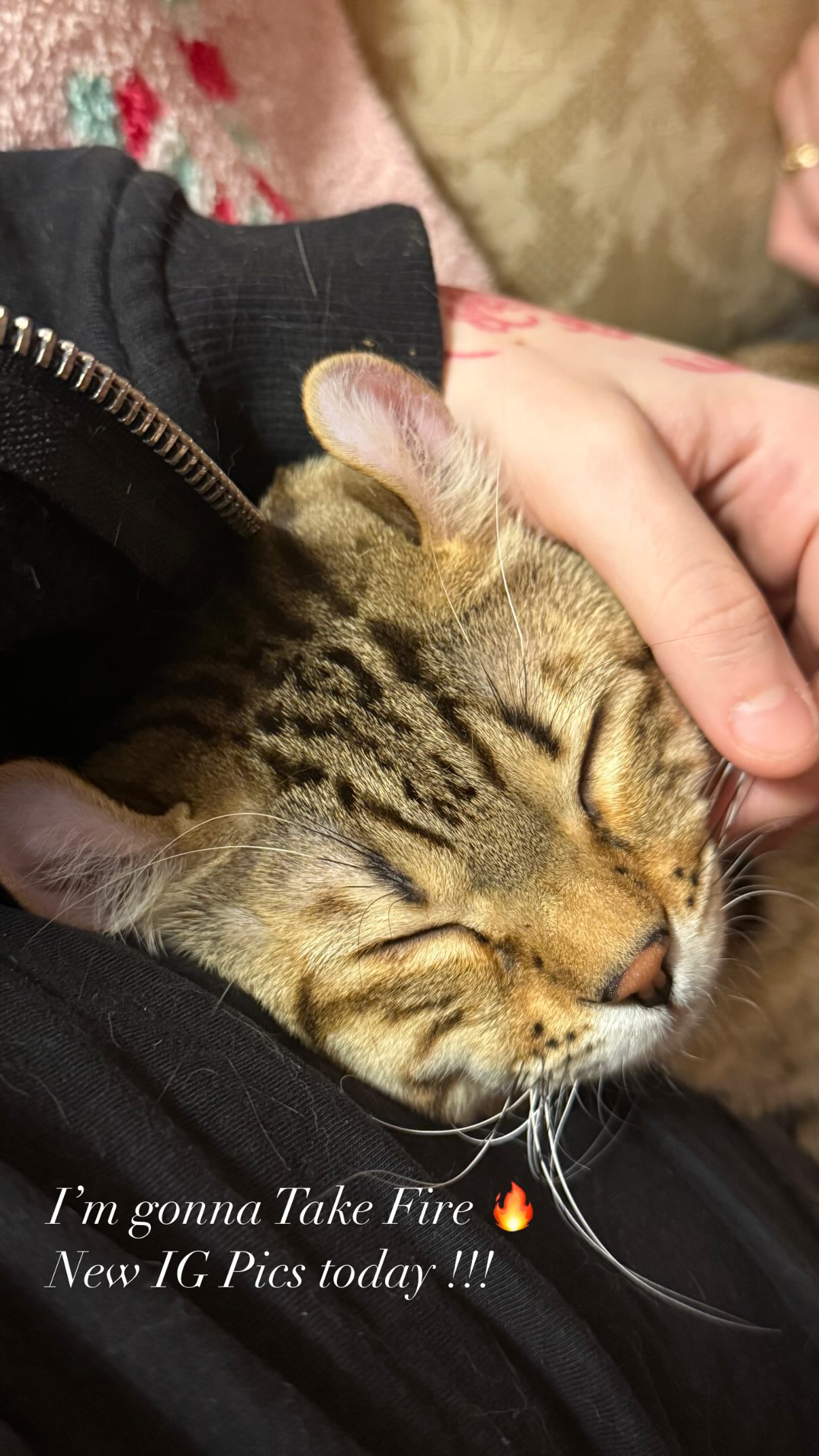 laurinchhhe instagram image archive image