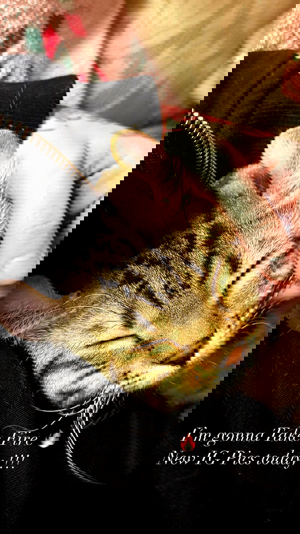 laurinchhhe image ~ Altpins