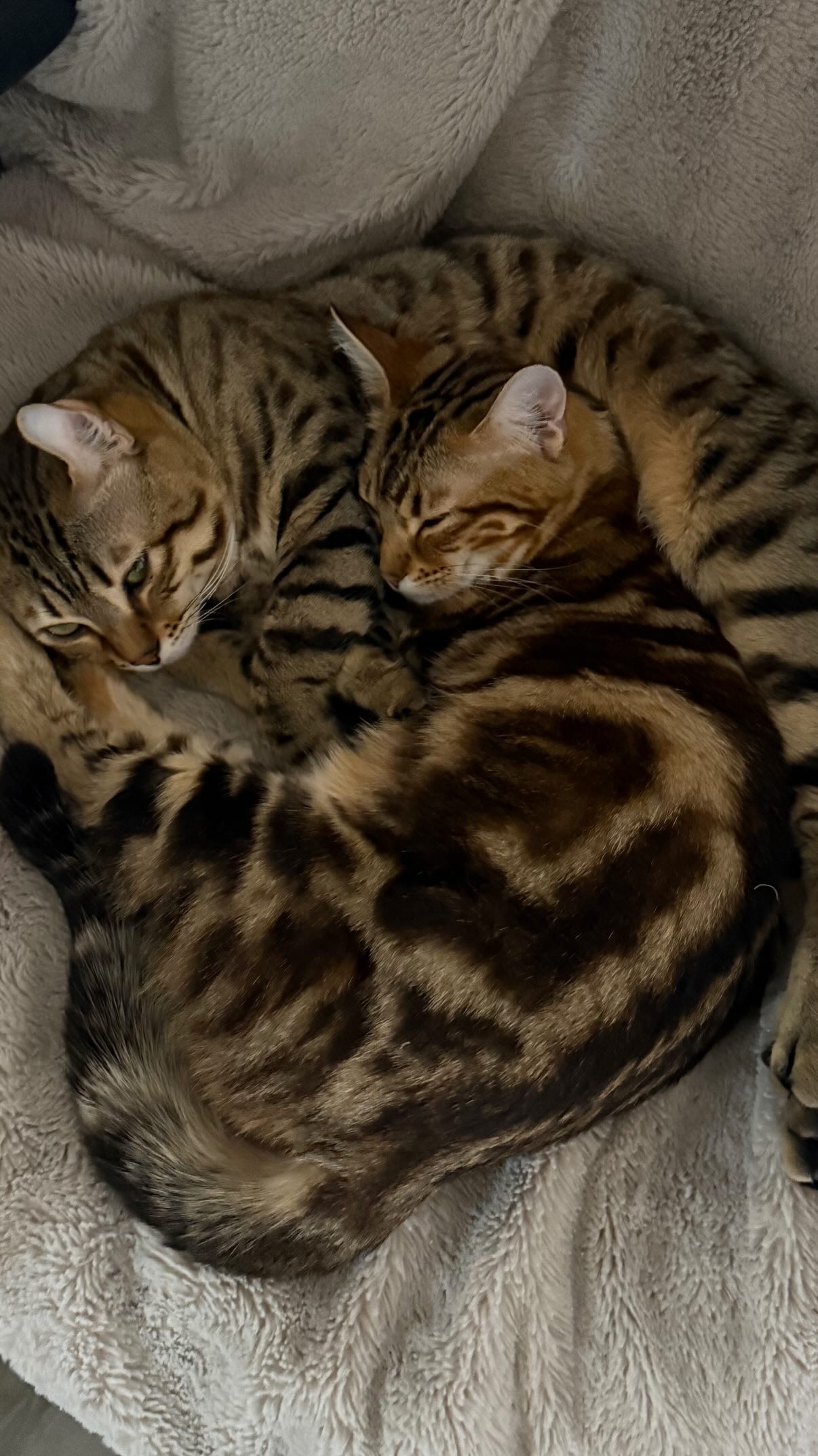 laurinchhhe instagram image archive image