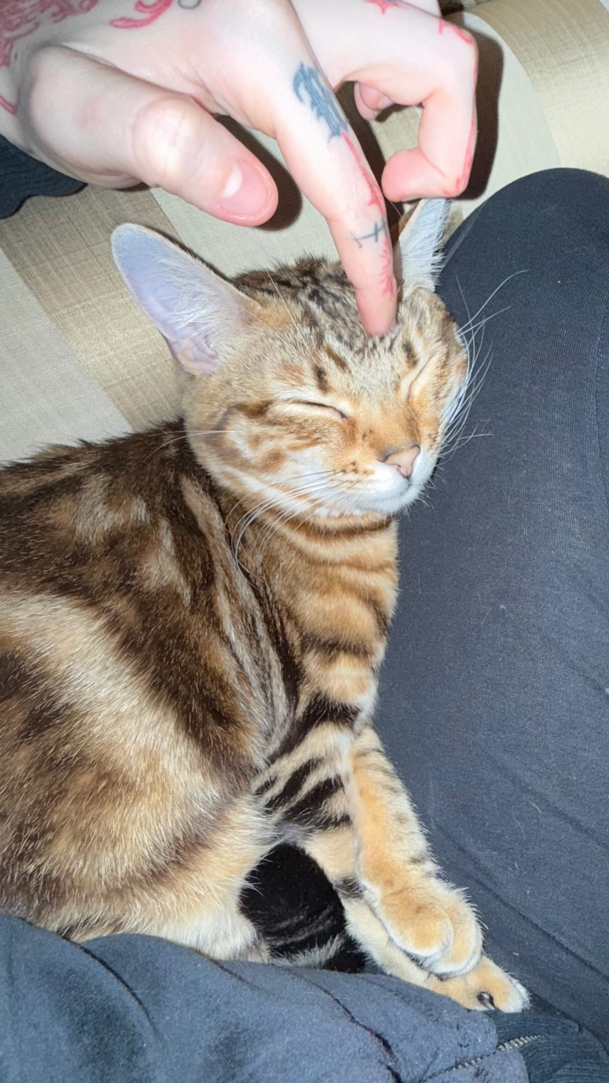 laurinchhhe instagram image archive image