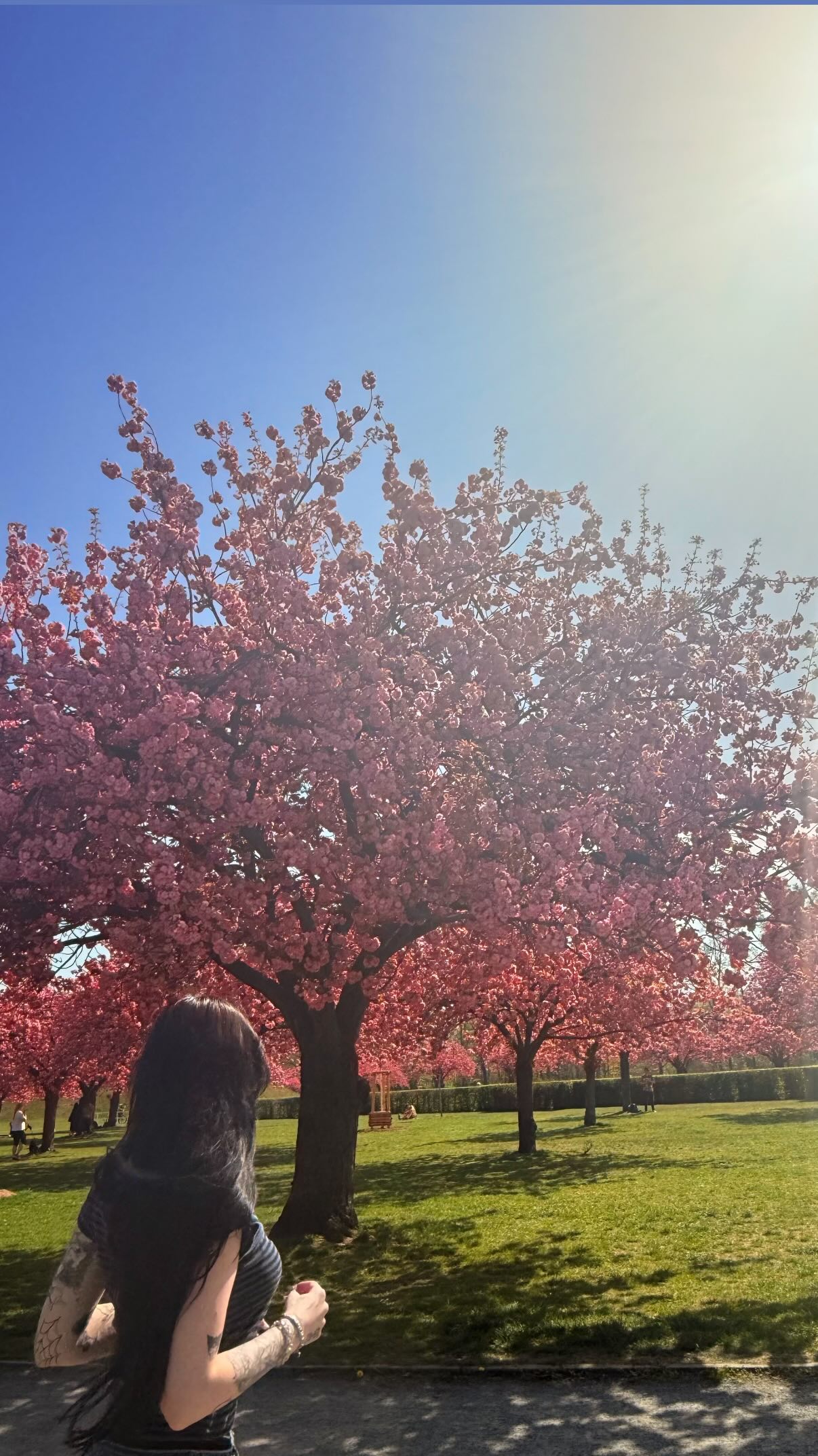 laurinchhhe instagram image archive image