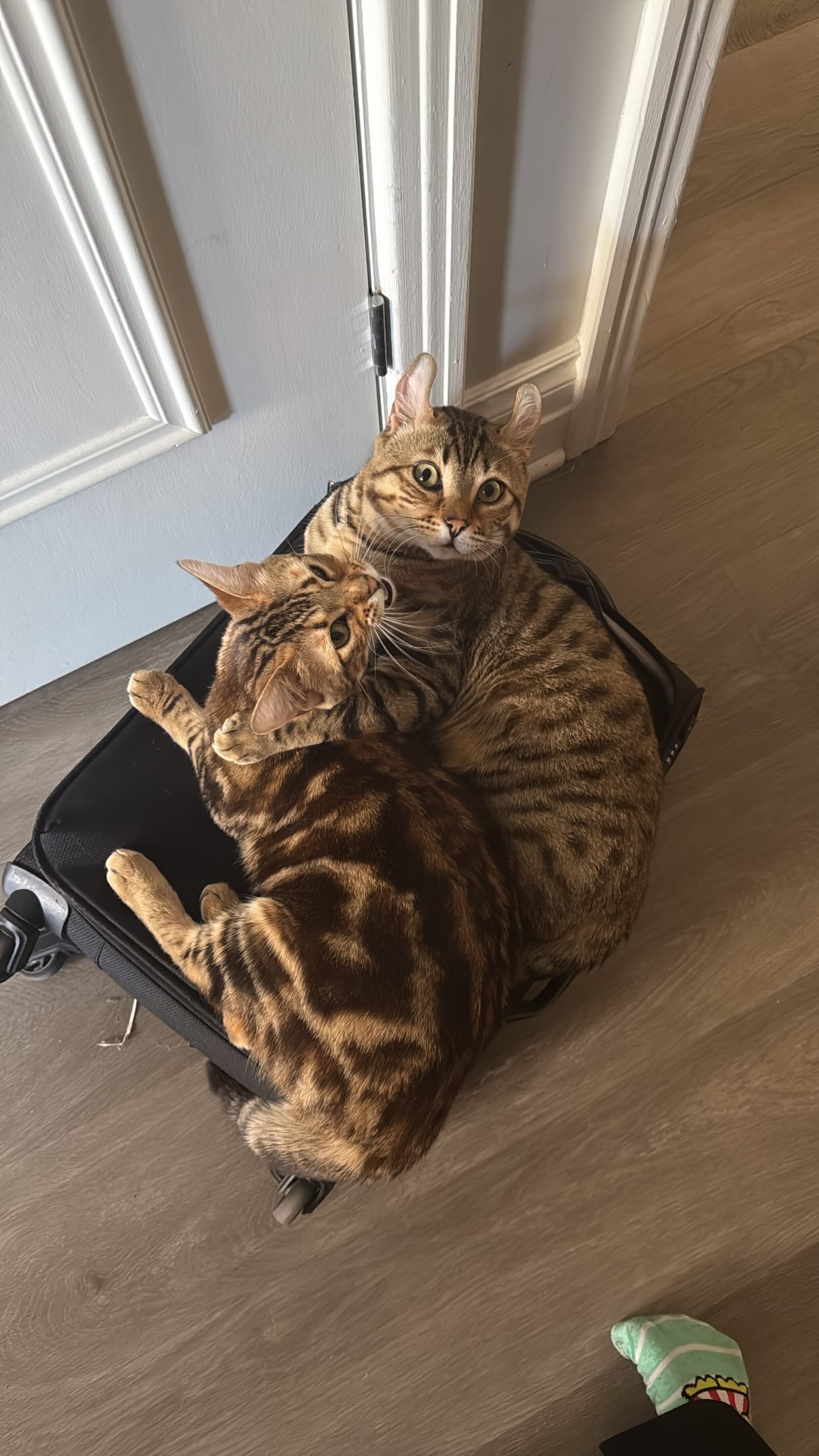 laurinchhhe instagram image archive image