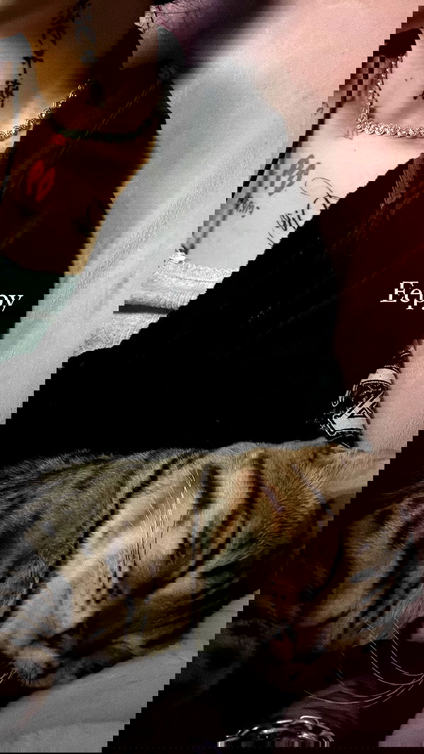 laurinchhhe image ~ Altpins