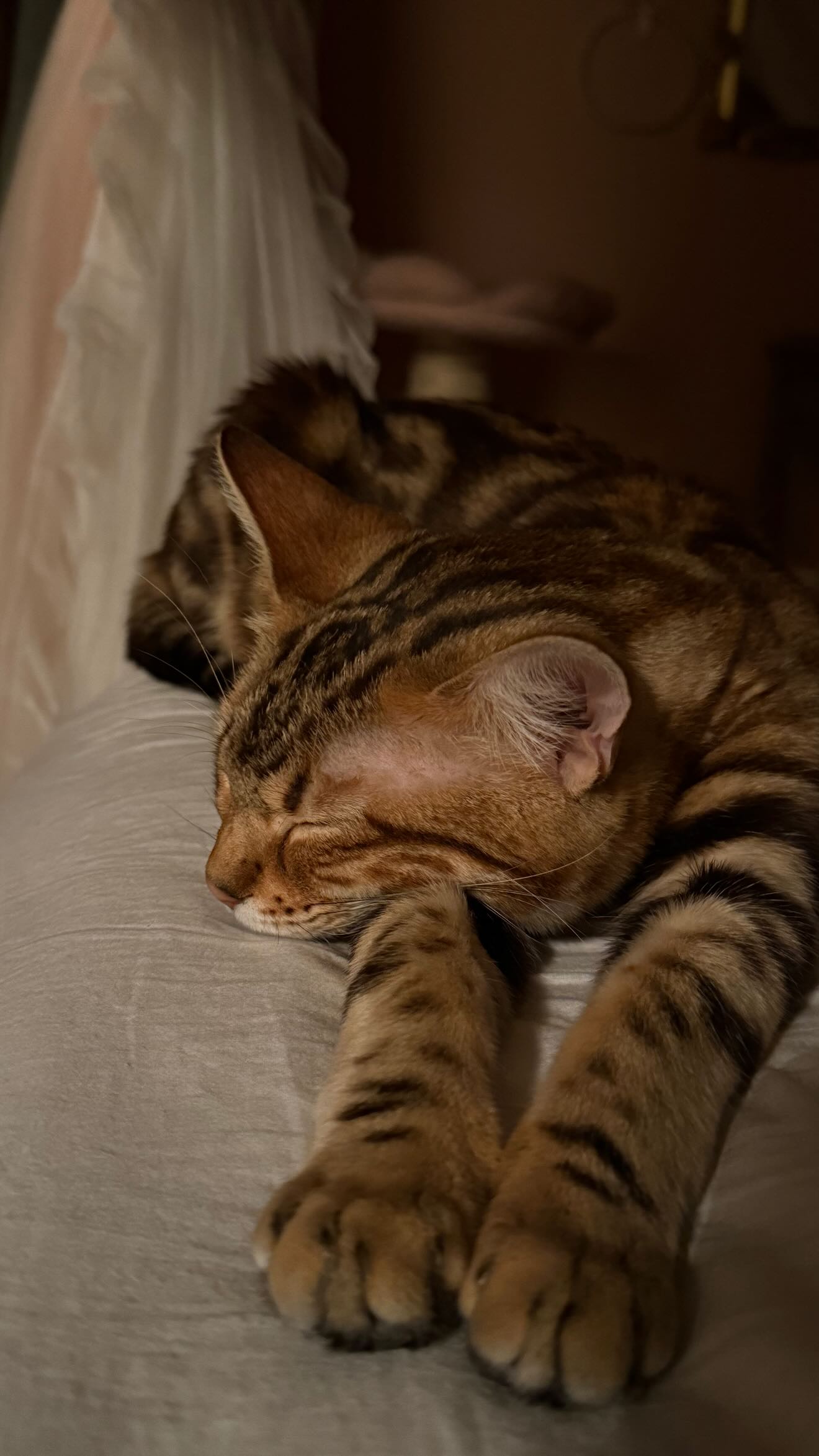 laurinchhhe instagram image archive image