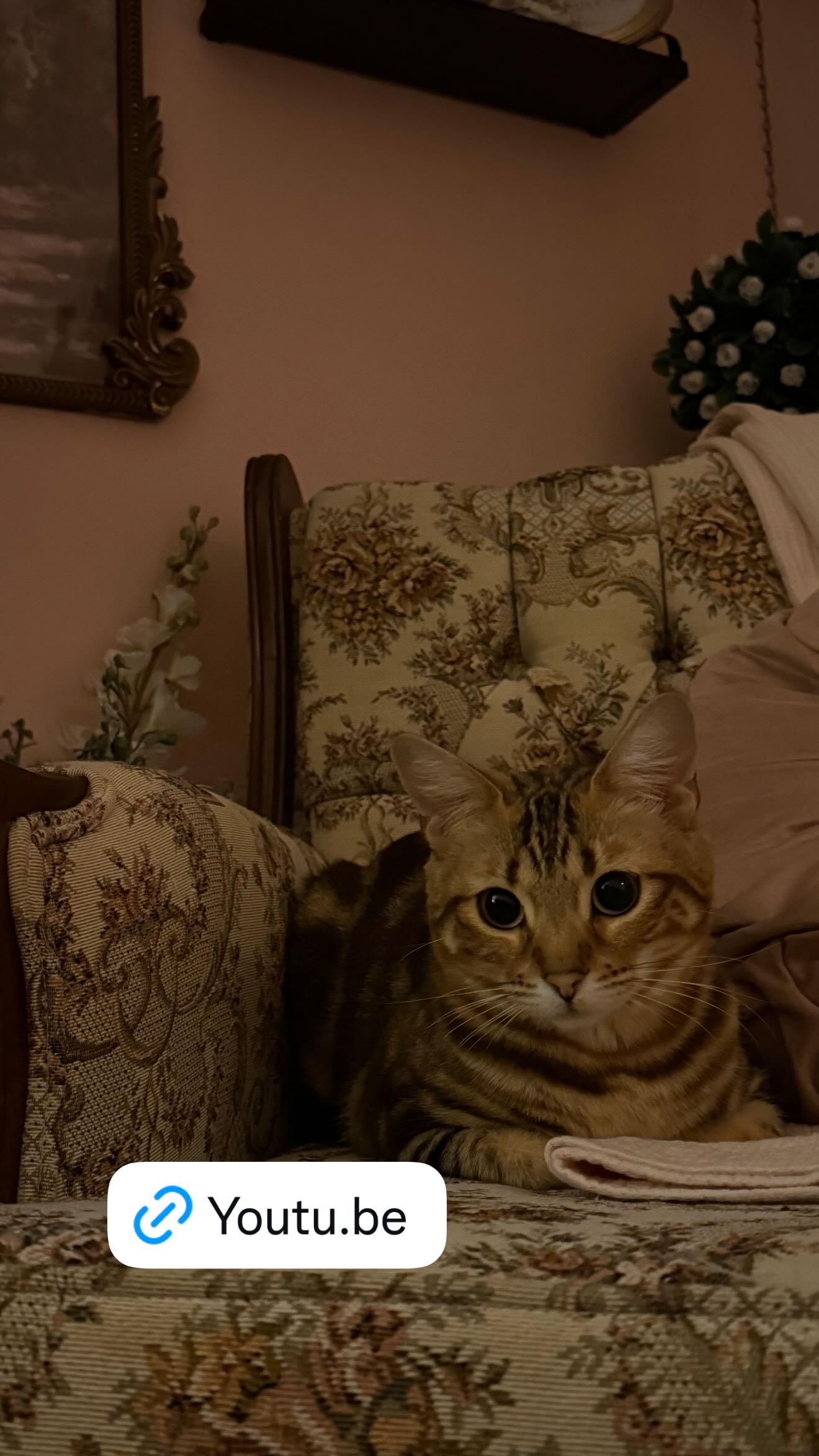 laurinchhhe instagram image archive image