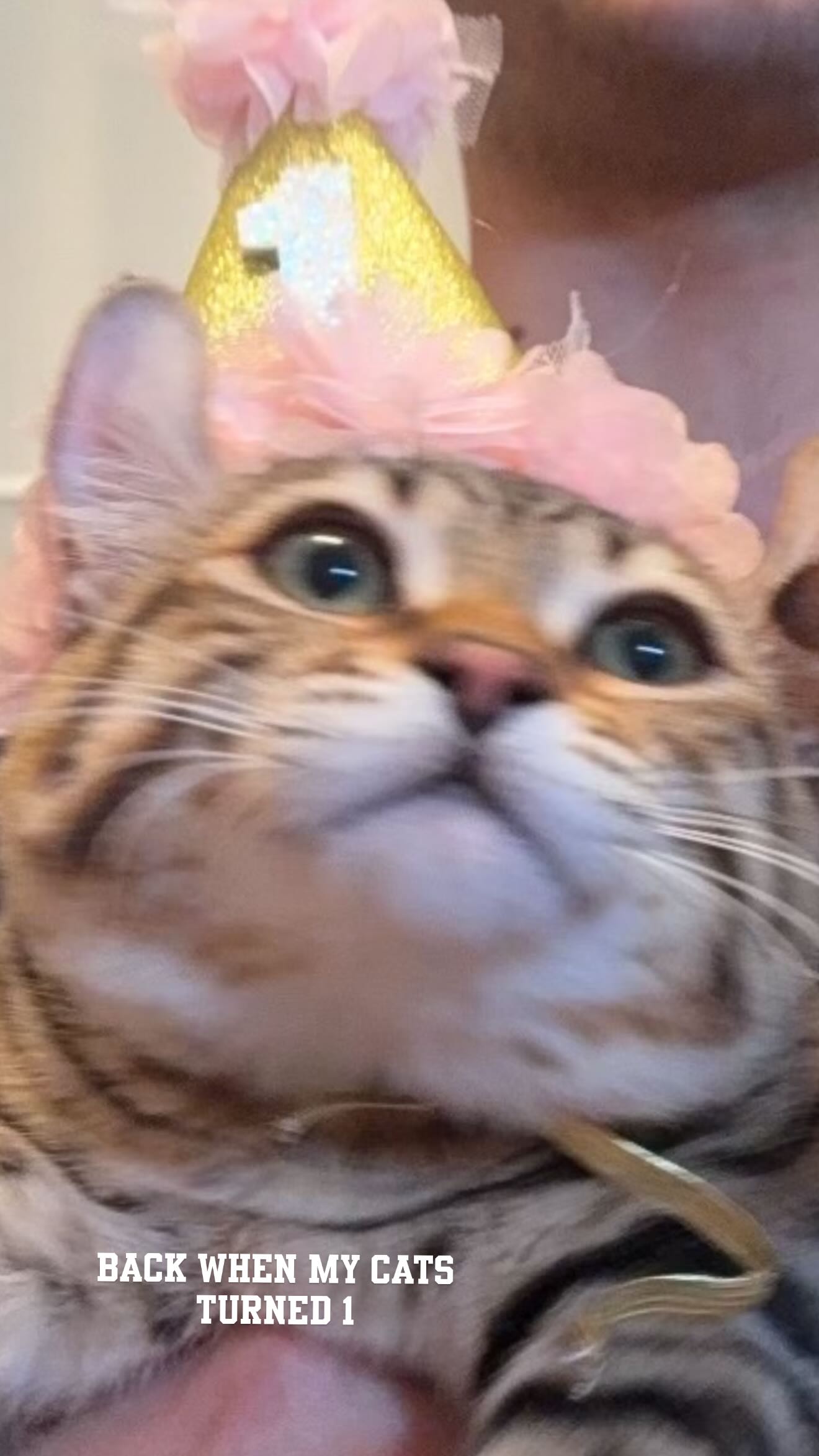 laurinchhhe instagram image archive image