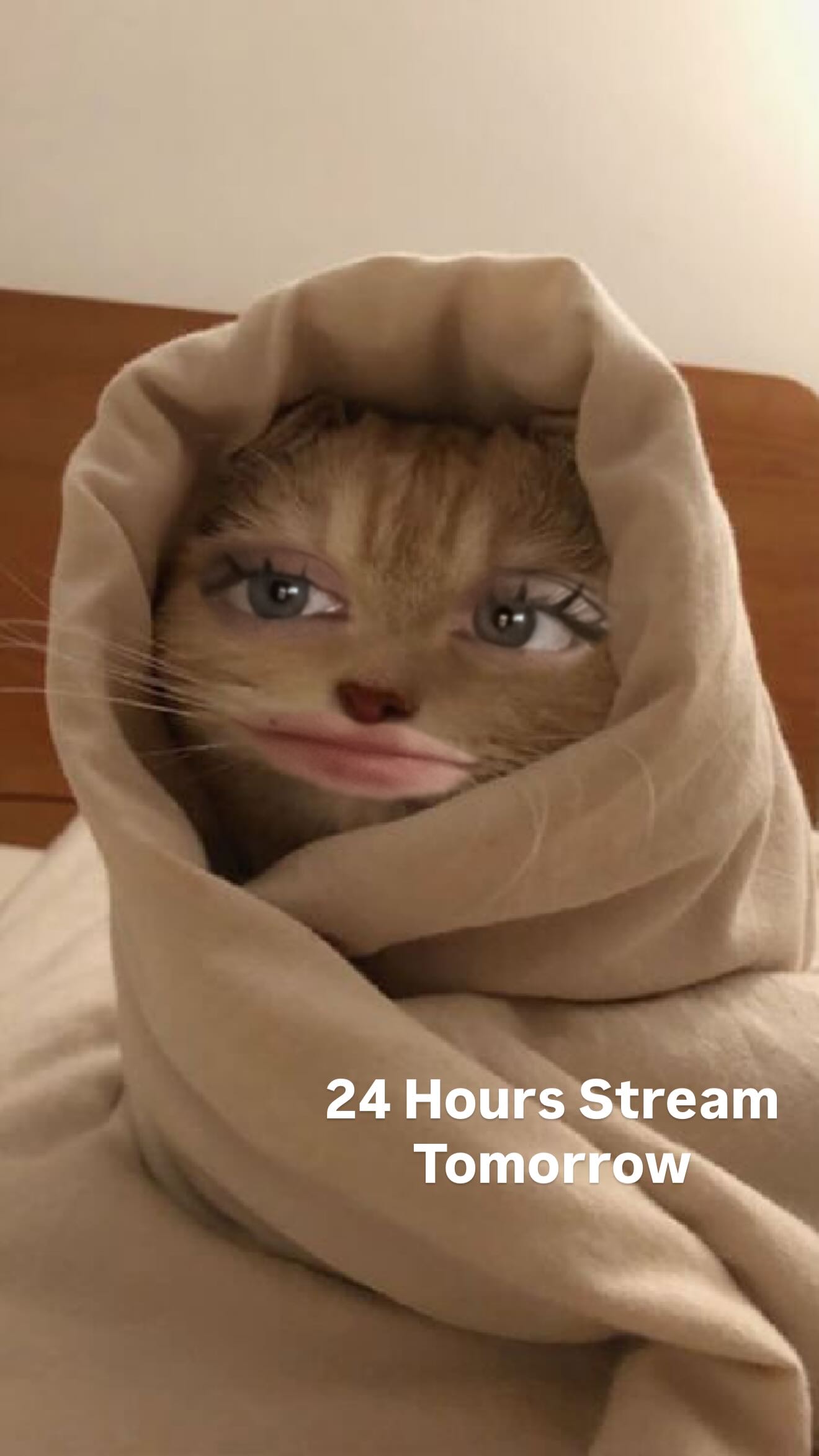 laurinchhhe instagram image archive image