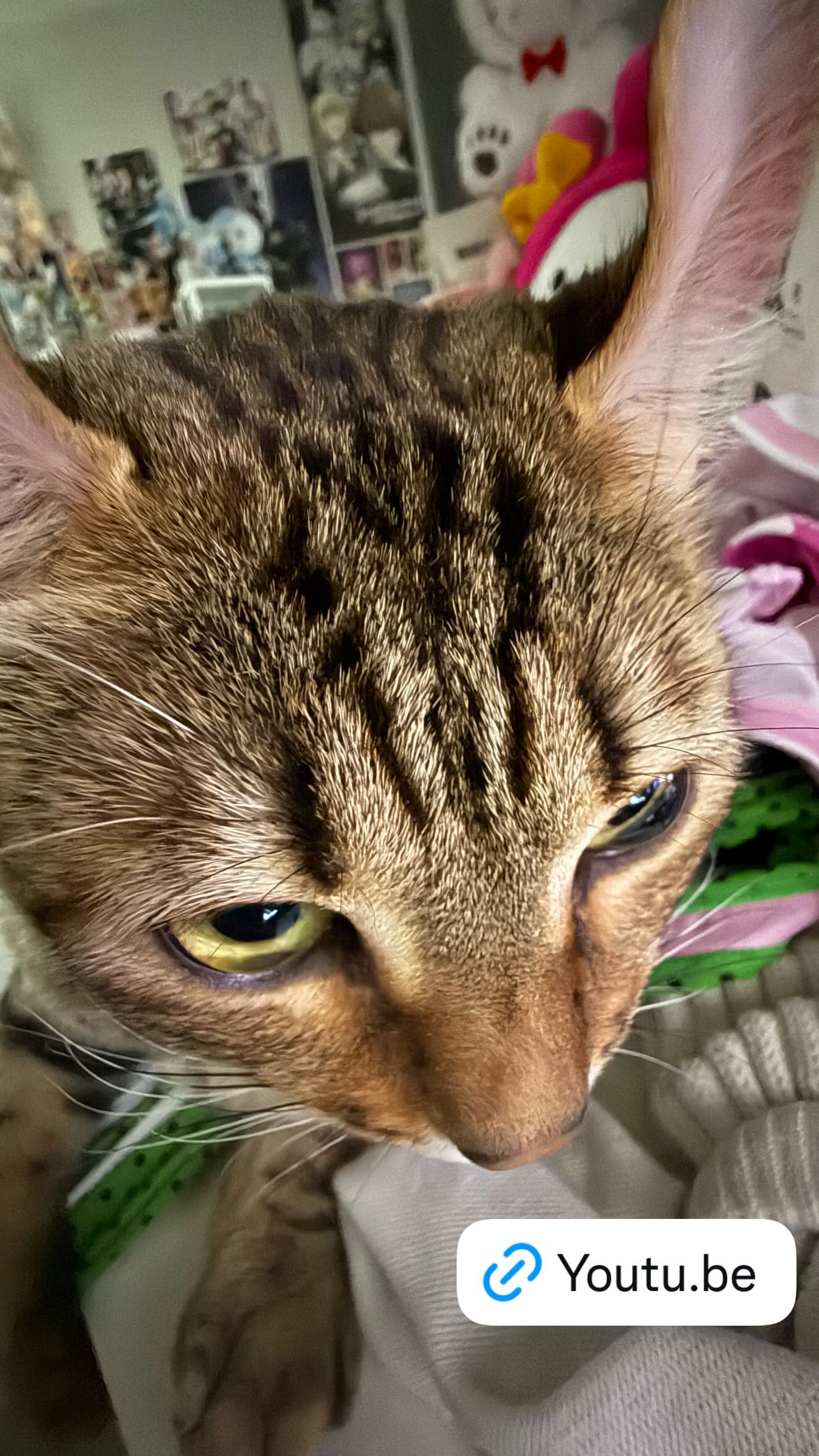 laurinchhhe instagram image archive image