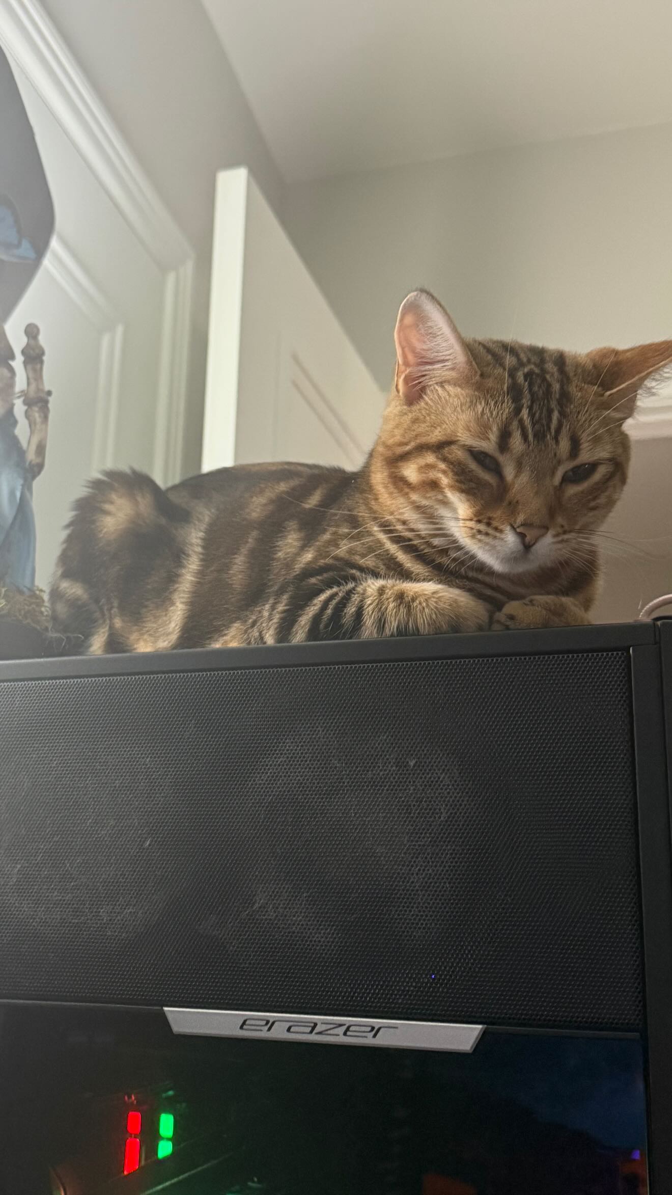 laurinchhhe instagram image archive image