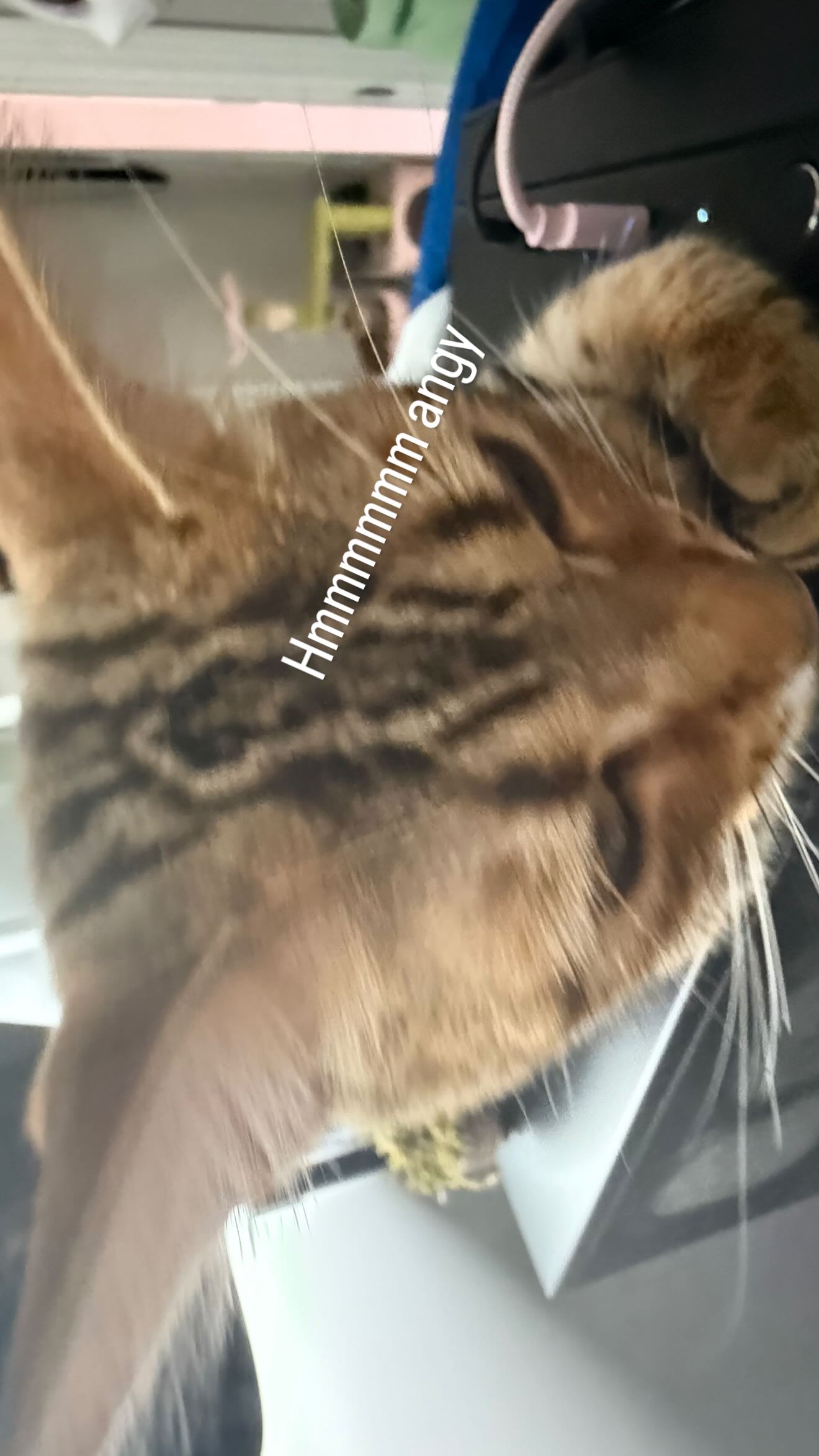 laurinchhhe instagram image archive image