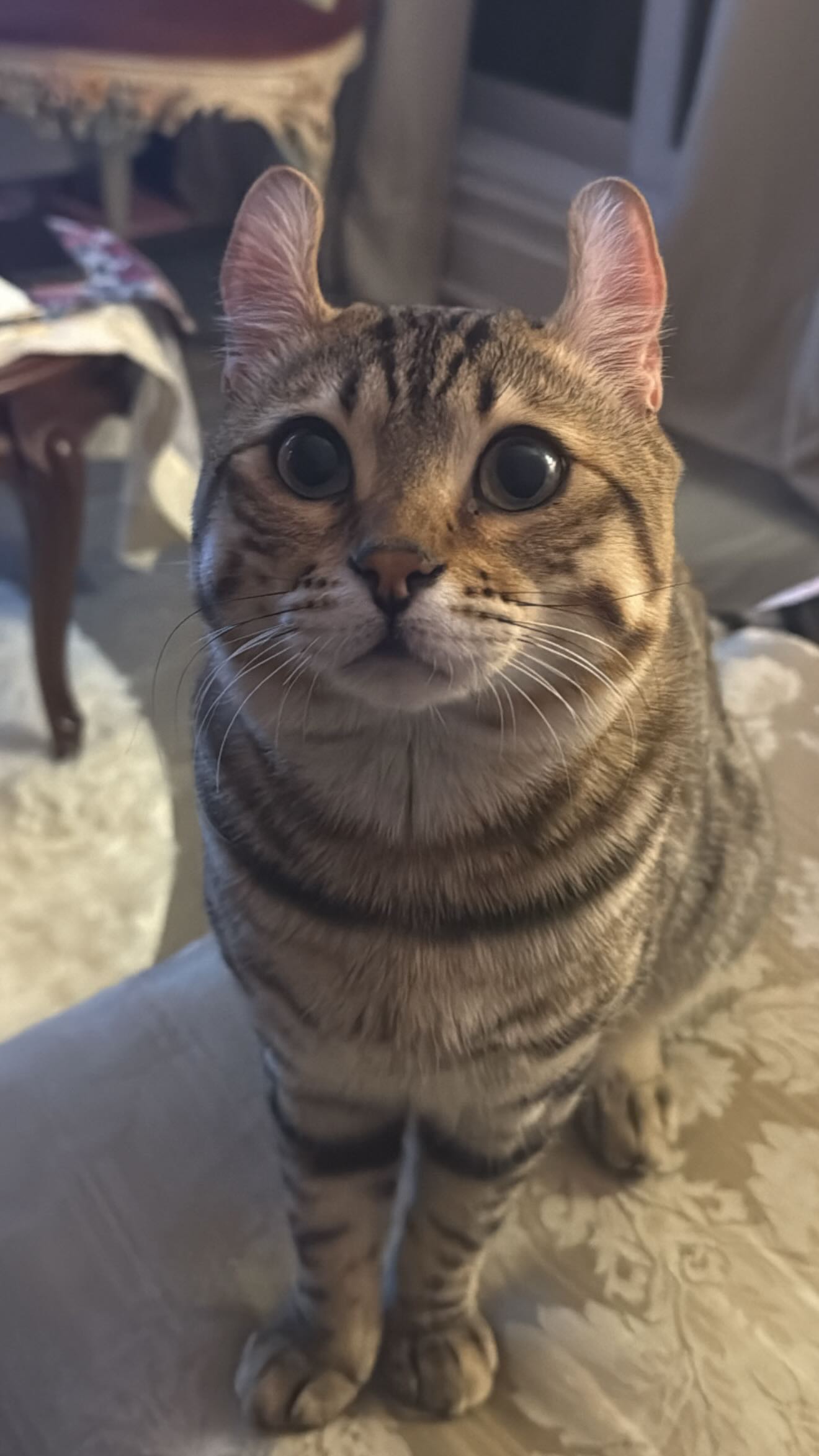 laurinchhhe instagram image archive image