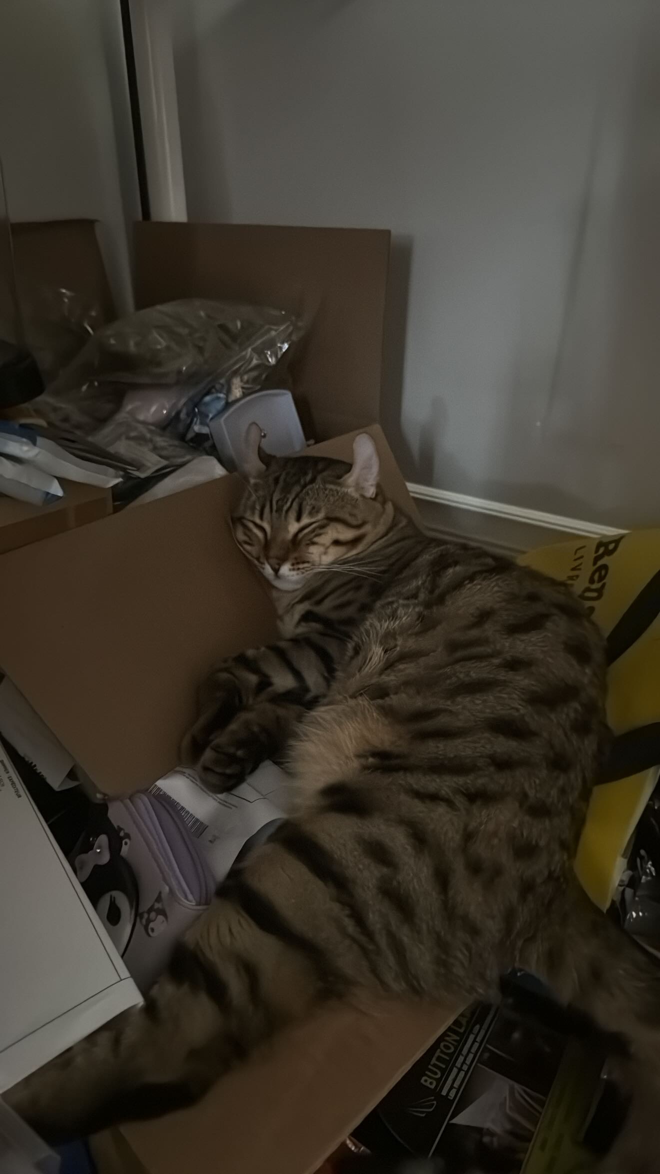 laurinchhhe instagram image archive image